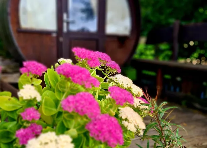 Taufsteinhuette Hotel